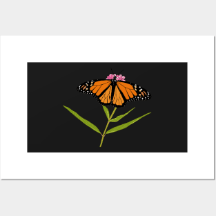 Monarch Butterfly on Milkweed Posters and Art